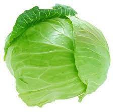 Cabbage | કોબીજ | पत्ता गोभी