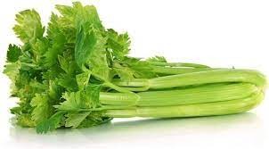 Celery | સેલરી | सेलरी