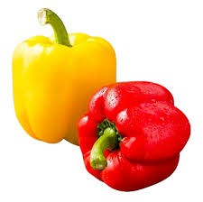 Red & Yellow Capsicum | લાલ પીળા કેપ્સીકમ |