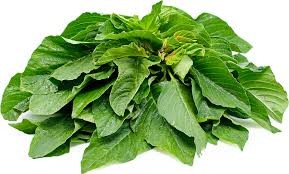 Amaranthus Leaves | તાંદળજો | भूरा